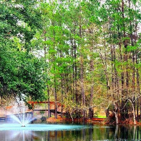Waterfront Houston Hide Out In A Magical Forest Waller Zewnętrze zdjęcie