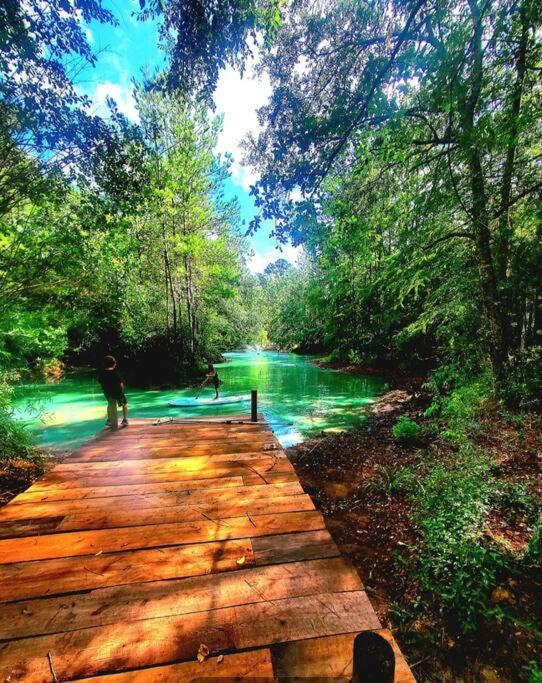 Waterfront Houston Hide Out In A Magical Forest Waller Zewnętrze zdjęcie