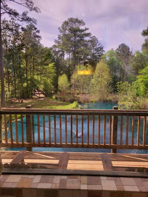 Waterfront Houston Hide Out In A Magical Forest Waller Zewnętrze zdjęcie