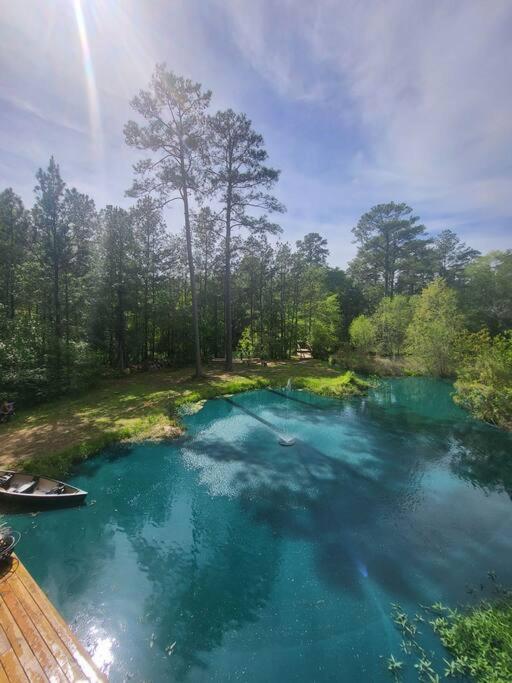 Waterfront Houston Hide Out In A Magical Forest Waller Zewnętrze zdjęcie