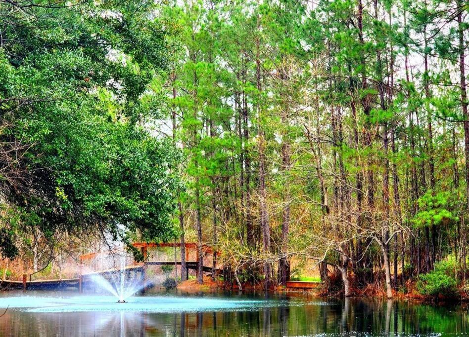 Waterfront Houston Hide Out In A Magical Forest Waller Zewnętrze zdjęcie