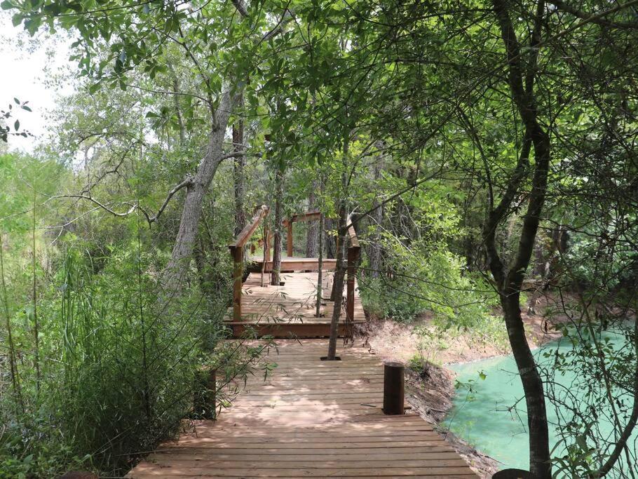 Waterfront Houston Hide Out In A Magical Forest Waller Zewnętrze zdjęcie